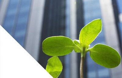 ESG services